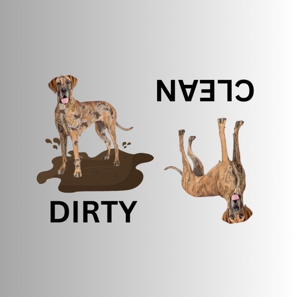 GREAT DANE Clean Dirty Dishwasher Flexible Magnet - Picture 1 of 1